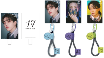 Seventeen Goods 08